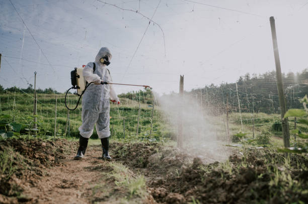 Best Local Pest Control Services  in Benton Heights, MI