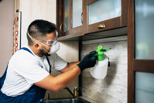 Best Residential Pest Control  in Benton Heights, MI