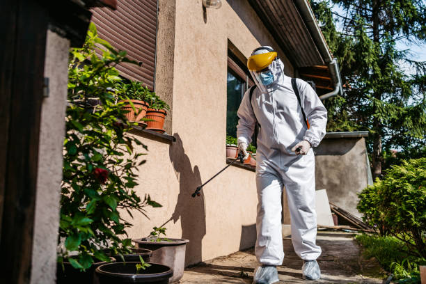 Best Termite Control Services  in Benton Heights, MI