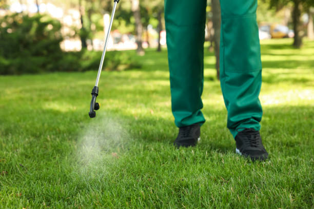 Best Flea Control Services  in Benton Heights, MI
