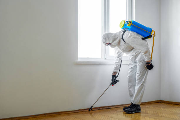 Trusted Benton Heights, MI Pest Control Experts
