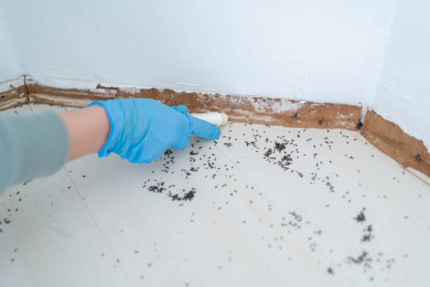 Best Exterminator Services  in Benton Heights, MI