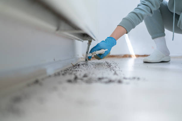 Best Pest Removal Services  in Benton Heights, MI